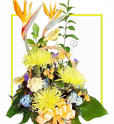 [B-2BOP-10YC-10YR-5YGER-1] Yellow Flower Basket with Birds of Paradise