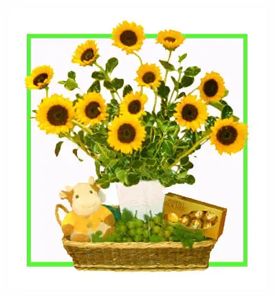 [B-12YGER-TEDDY-16FER-1] Yellow Gerbera Basket with Teddy & Ferrero Rocher