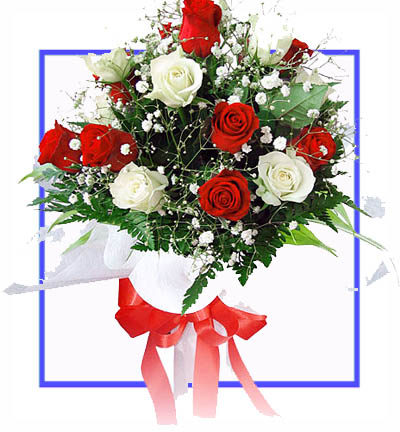 [PN-N-10RW-R-1] Bunch Of 10 Pink And White Roses
